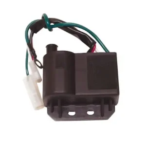 Centralina Elettronica Accensione BETA ARK/MALAGUTI F10/F12 50cc Compra Online
