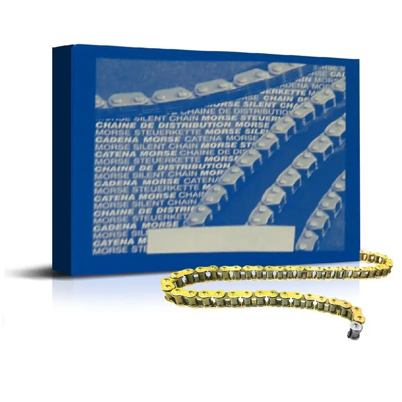 REGINA Catena distribuzione 82RH2015M 82 maglie chiusa Offerta Lampo