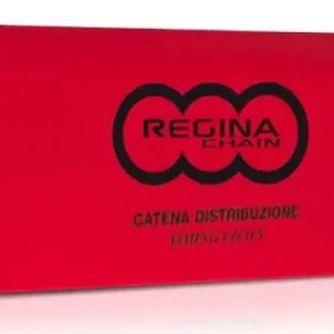 Pagamento Sicuro REGINA Catena distribuzione C221 CSSR 74 maglie chiusa