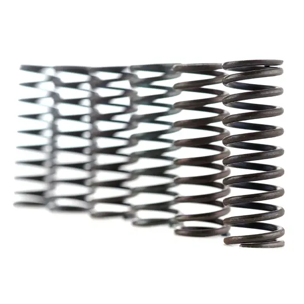 Kit Molle Frizione FERODO FSS0410 Prezzo Scontato