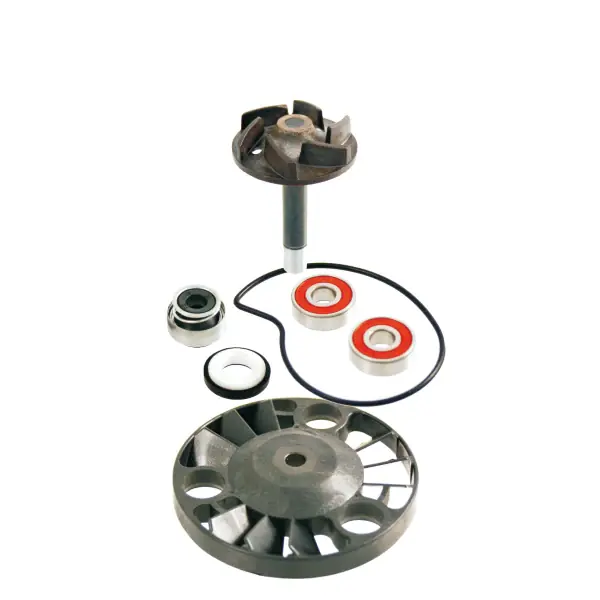 Reso Gratuito Kit revisione pompa acqua RMS Piaggio Beverly 125-200cc/Hexagon Gtx 125-180cc per APRILIA ATLANTIC 125 2003 - 2005