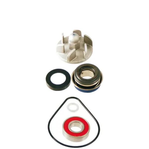 Prezzo Ridotto Kit revisione pompa acqua RMS Honda Pantheon 125-150cc 2t 1998/2002 per HONDA FES 125 PANTHEON 125 1998 - 2002