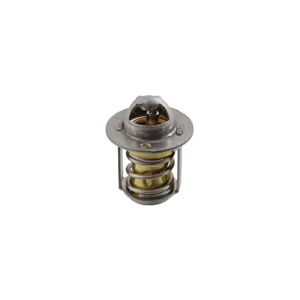 Termostato RMS Minarelli Am6  per APRILIA CLASSIC 50 1992 - 1999 Nuovo Arrivo