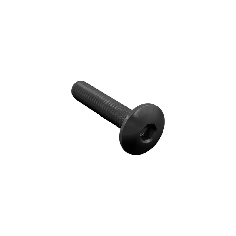 Promozione Esclusiva Vite Testa Bombata Erg. Cl 002 M5 L. 10 Testa Ø12 Ergal (7075 T6)
