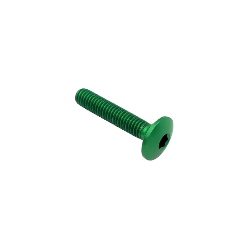 Vite Testa Bombata Erg. Cl 002 M5 L. 15 Testa Ø12 Ergal (7075 T6) Solo Oggi
