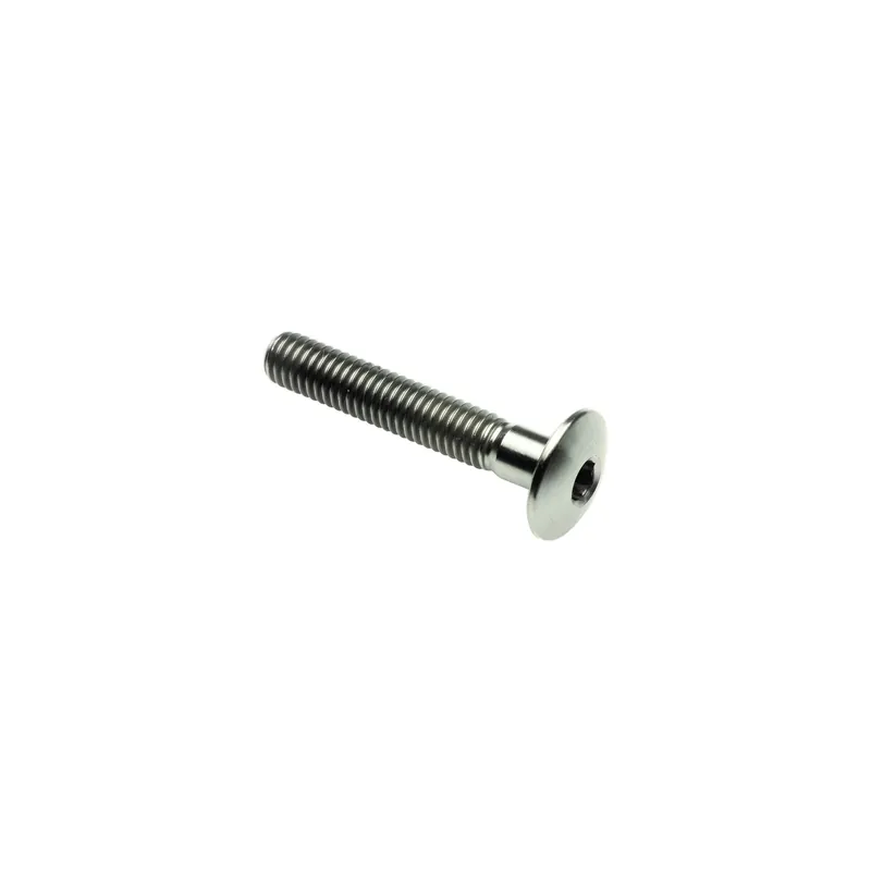 Vite Bombata Tit. G.5 Cl 002 M4 L. 40 Testa Ø10 Titanio 6al4v Gr.5 Subito Disponibile