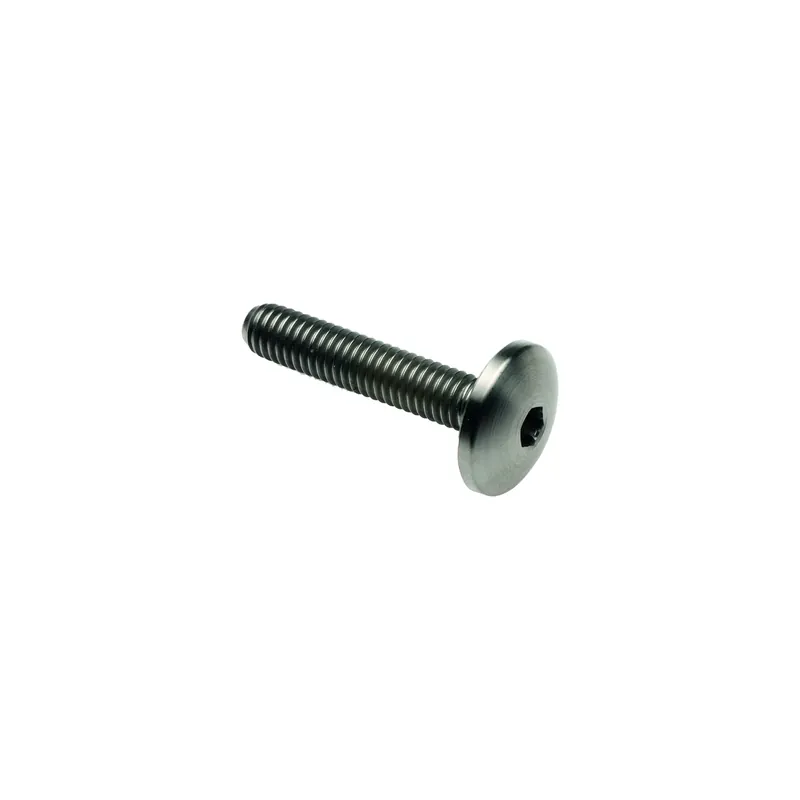 Prezzo Ridotto Vite Bombata Tit. G.5 Cl 003 M8 L. 25 Testa Ø22 Titanio 6al4v Gr.5
