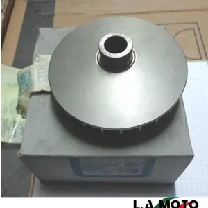 VARIATORE COMPLETO PIAGGIO SKIPPER COD.483977 Compra Adesso