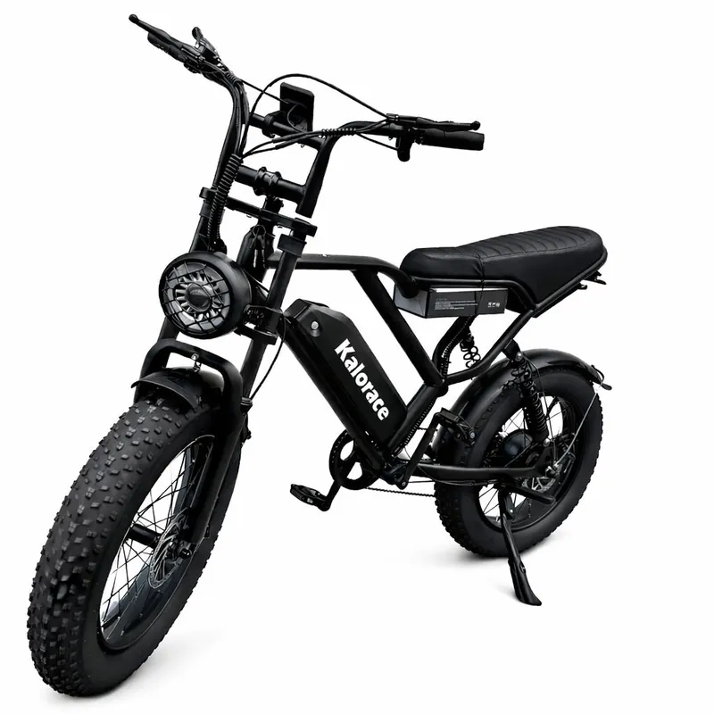 FAT BIKE ONE W066 48V Promozione
